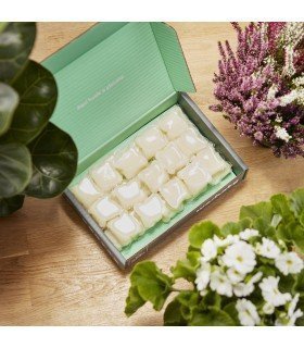 Detergente ecológico para tus prendas Leser, cero plásticos