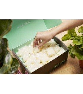 Detergente ecológico para tus prendas Leser, cero plásticos
